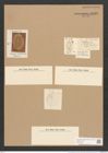 Cocconeis crebrestriata Grev. (de-Toni-Nr.: Genus 40, Species 1878) Zeichnungen Sammlung Grunow Nr. 3702 (NHMW-BOT-W0371330)